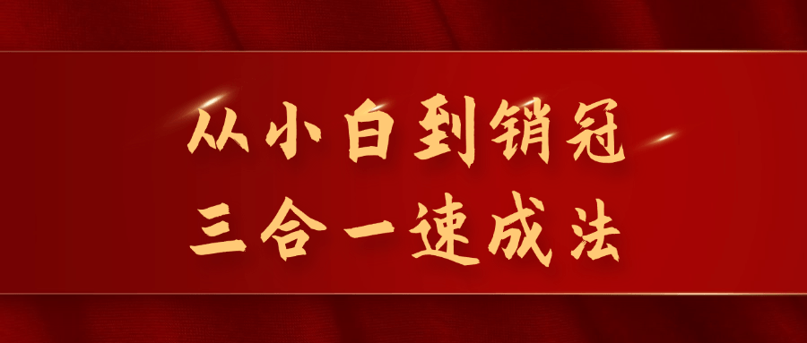 从小白到销冠三合一速成法