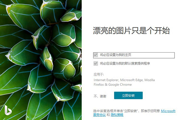 Bing Wallpaper v2.0.1.8中文版