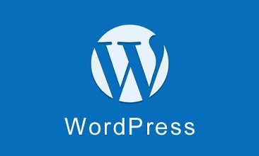 原创WordPress插件：autoblank自动新窗口打开链接